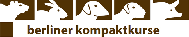 Logo Berliner-Kompaktkurs