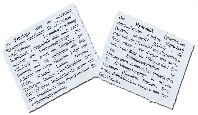 Zeitungsausschnitt